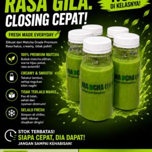 matcha fresh milk experience 250ml