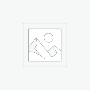 AI Assistant